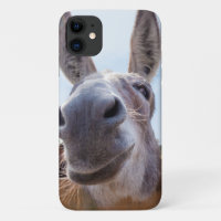 Âne souriant