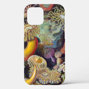 Case-Mate iPhone Case Anémone de mer Nature scientifique Océan