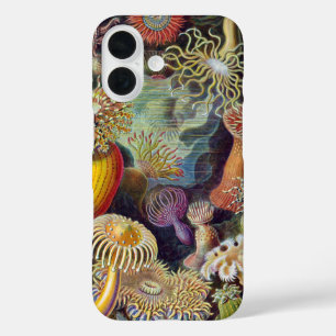 Coque Pour iPhone 16 Anémone de mer Nature scientifique Océan