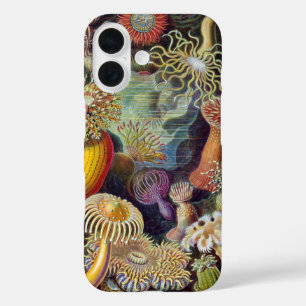 Coque Pour iPhone 16 Anémones de mer vintage, Actiniae par Ernst Haecke