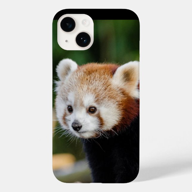 Coques Case-Mate iPhone Animal sauvage de Panda rouge (Verso)