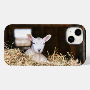 Coque Pour iPhone 14 Animaux de bébés cutest   Agneau nouveau-né