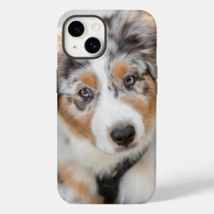 Coque Pour iPhone 14 Animaux de bébés cutest Australian Shepherd Pupp
