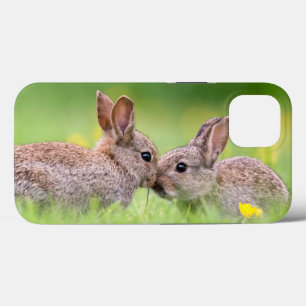 Case-Mate iPhone Case Animaux de bébés cutest Bunny Kiss