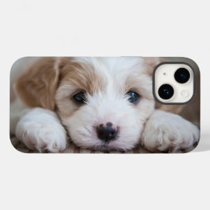 Coque Pour iPhone 14 Animaux de bébés cutest   Cavashon Puppy