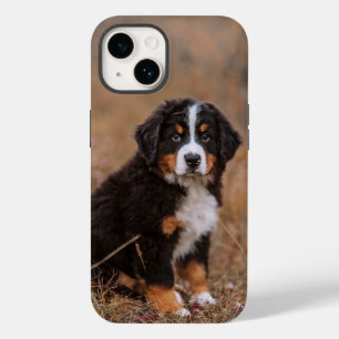 Coque Pour iPhone 14 Animaux de bébés cutest Chien de montagne bernoi