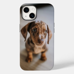 Coque Pour iPhone 14 Animaux de bébés cutest Chiot Brown