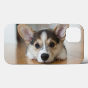 Case-Mate iPhone Case Animaux de bébés cutest   Corgi Puppy