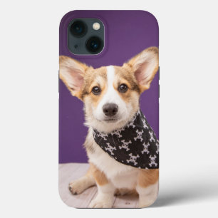 Case-Mate iPhone Case Animaux de bébés cutest   Corgi Puppy Skull Bandan
