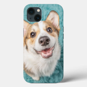 Case-Mate iPhone Case Animaux de bébés cutest   Cute Corgi Puppy Smile