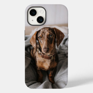 Coque Pour iPhone 14 Animaux de bébés cutest Dachshund Dachshund Dach