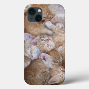 Case-Mate iPhone Case Animaux de bébés cutest   Orange Kitten Pile