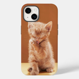 Coque Pour iPhone 14 Animaux de bébés cutest Orange Tabby Kitten