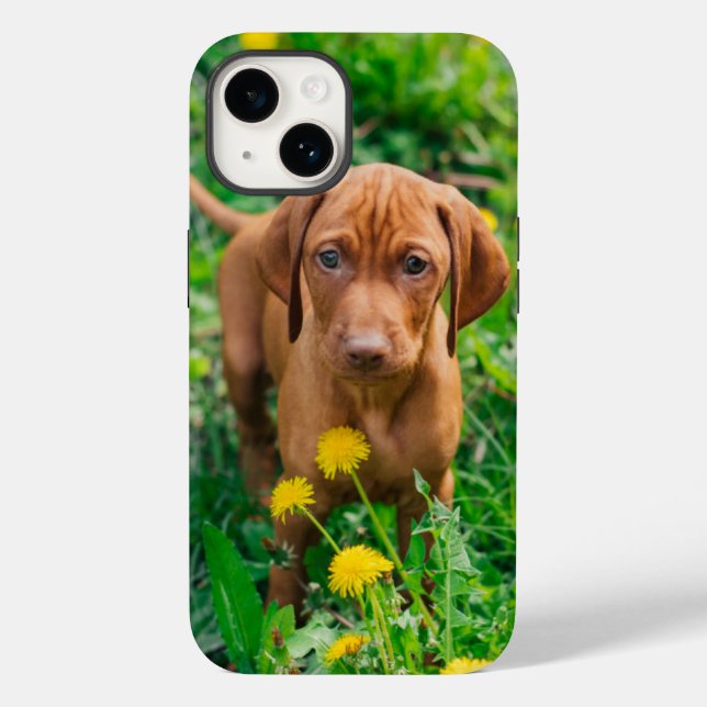 Coques Case-Mate iPhone Animaux de bébés cutest | Pointeur (Verso)