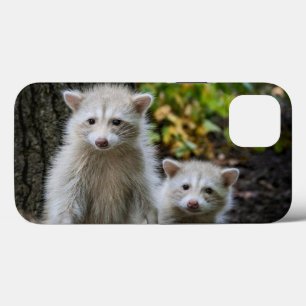 Case-Mate iPhone Case Animaux de bébés cutest   Raccoons jeunes blonds