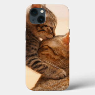 Case-Mate iPhone Case Animaux de bébés cutest Tabby Kitten Kiss
