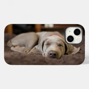 Coque Pour iPhone 14 Animaux de bébés cutest   Weimaraner Puppy Sleepin
