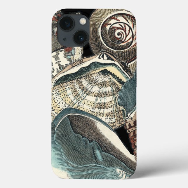 Coques Case-Mate iPhone Anthologie de coquillage (Verso)