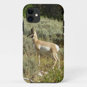 Case-Mate iPhone Case Antilocapre dans le parc national de Grand Teton