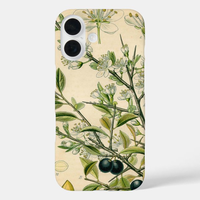 Coques Case-Mate iPhone Antique Blackthorn Botanique Imprimé Fleur Berry (Verso)