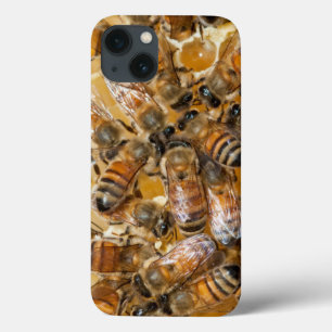 iPhone 13 Coque Apiculture à Arlo's Honey Farm