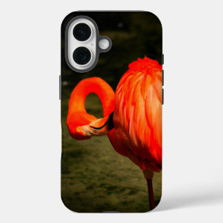 Coque Pour iPhone 16 APPLE i PHONE CASE WITH A FLAMINGO DESIGN