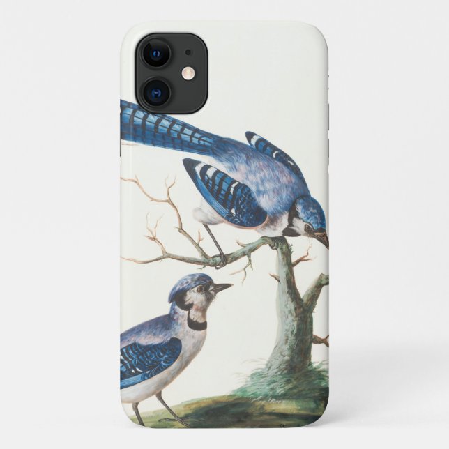 Coques Case-Mate iPhone Aquarelle Blue Jay Birds Art (Dos)
