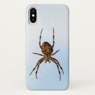 Case-Mate iPhone Case araignée croisée dans la toile