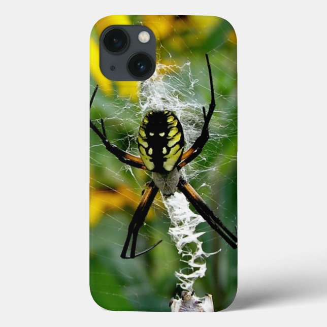 Coques Case-Mate iPhone Araignée d'orbite dans la toile (Verso)