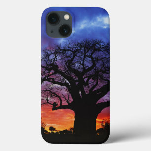Coques Pour iPhone arbre baobab africain, Adansonia digitata, 2