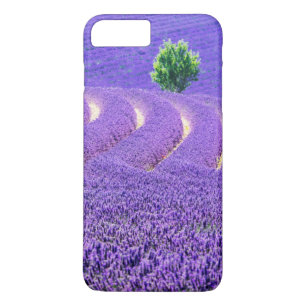 Etui iPhone Case-Mate Arbre solitaire dans le champ de lavande, France