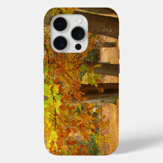 Coque iPhone 15 Pro Arbres d'automne