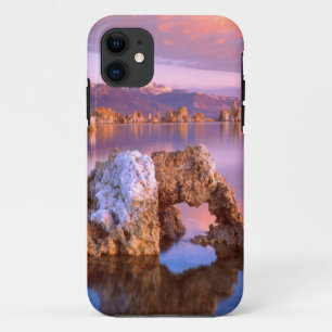 Coque iPhone 11 Arc de tufière du Mono Lake