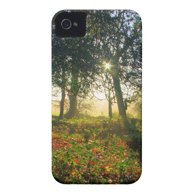 Coques Case-Mate iPhone Arc-en-ciel de forêt (Dos)