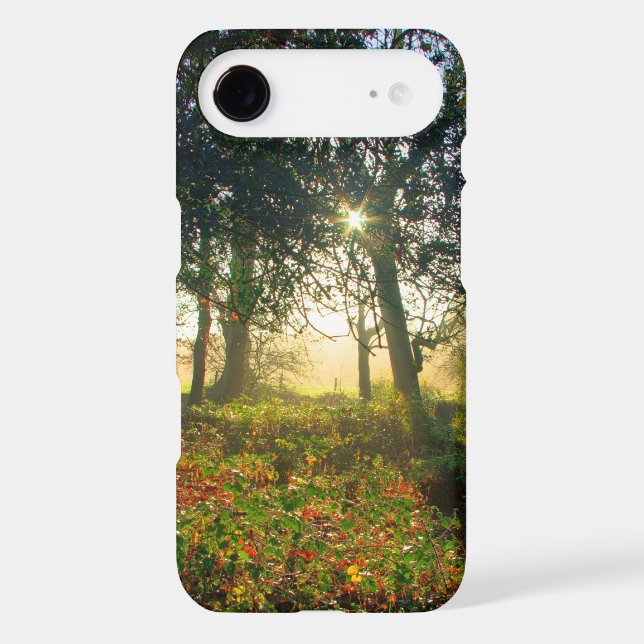 Coques Case-Mate iPhone Arc-en-ciel de forêt (Verso)