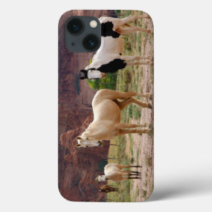 iPhone 13 Case Arizona, réserve indienne navajo, Chinle,