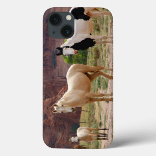 Etui iPhone 13 Arizona, réserve indienne navajo, Chinle,