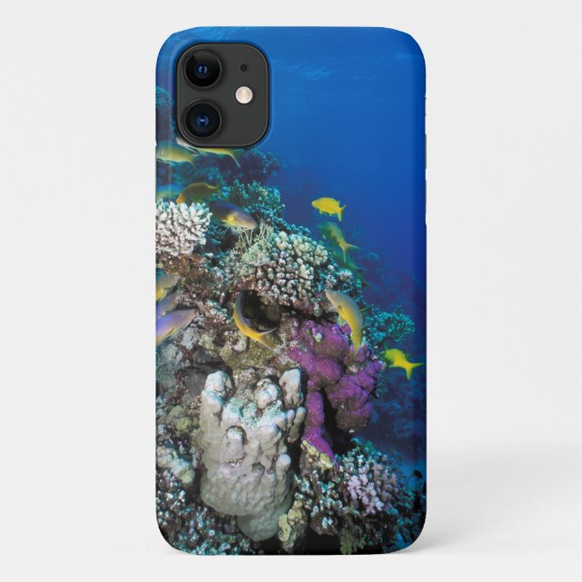 Coques Case-Mate iPhone Around Small Coral (Dos)
