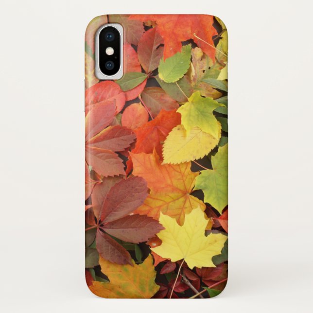 Coques Case-Mate iPhone Arrière - plan Coloré Des Feuilles D'Automne Tombé (Dos)