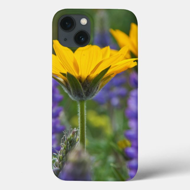 Coques Case-Mate iPhone Arrowleaf Balsam Root and Lupine in Spring Bloom (Verso)