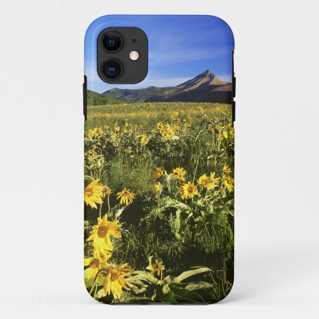 Coques Case-Mate iPhone Arrowleaf balsomroot couvre la prairie avec (Dos)