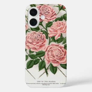 Coque Pour iPhone 16 Art botanique vintage rose rose cottagecore