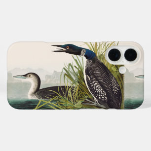 Coque Pour iPhone 16 Art de la nature sur l'oiseau plongeon huard commu