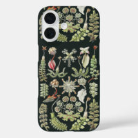 Art Nature Scientifique Ernst Haeckel Hépatiques