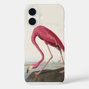 Coque Pour iPhone 16 Art Vintage Audubon Flamant rose américain oiseau 
