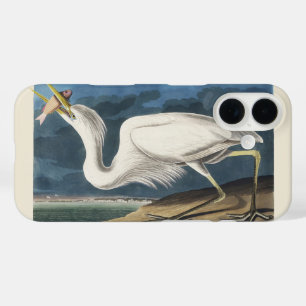 Coque Pour iPhone 16 Art Vintage de l'Oiseau Grande Héron Blanc d'Audub