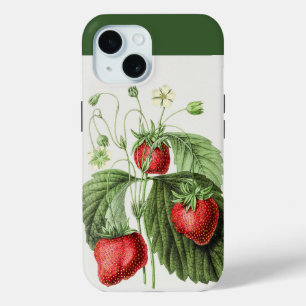 Coque Pour iPhone 15 Art vintage Red Strawberry