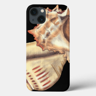 iPhone 13 Coque Artistic Conch Shells