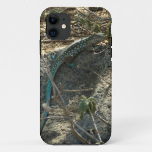 Etui iPhone Case-Mate Aruba Whiptail Lizard Photographie d'animaux tropi