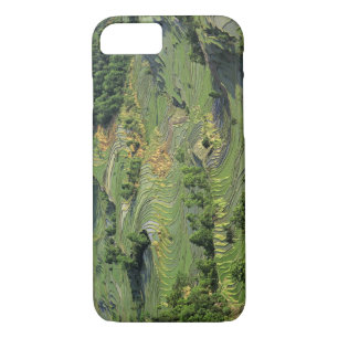 Etui iPhone Case-Mate Asie, Chine, Yunnan, Yuanyang. Motif de vert 2